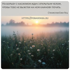 На борьбу с насилием иди с открытым челом, чтобы тебе не выжгли на нем...