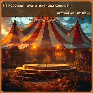 На хорошем поле и пшеница хорошая.