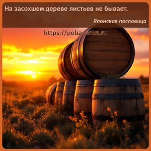 На засохшем дереве листьев не бывает.