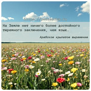На Земле нет ничего более достойного тюремного заключения, чем язык.