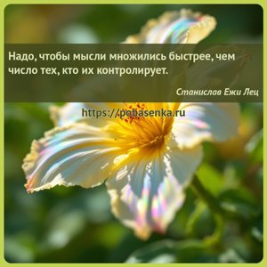 Надо, чтобы мысли множились быстрее, чем число тех, кто их контролирует.