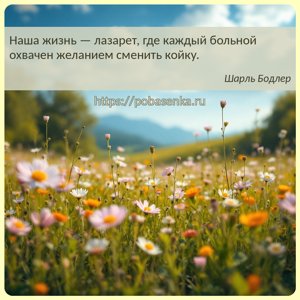 Наша жизнь лазарет, где каждый больной охвачен желанием сменить койку.