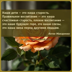 Наши дети это наша старость. Правильное воспитание это наша счастливая...