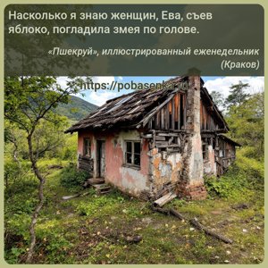 Насколько я знаю женщин, Ева, съев яблоко, погладила змея по голове.