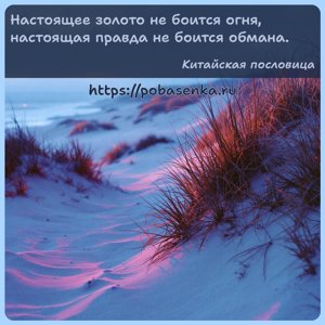 Настоящее золото не боится огня, настоящая правда не боится обмана.
