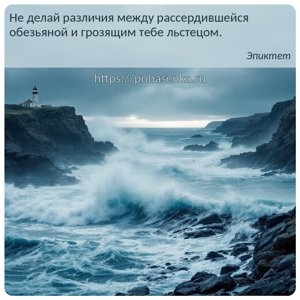 Не делай различия между рассердившейся обезьяной и грозящим тебе льстецом.