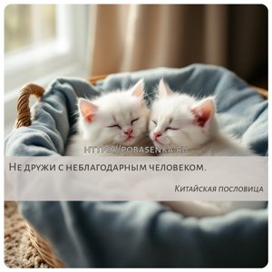 Не дружи с неблагодарным человеком.