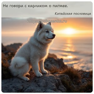 Не говори с карликом о пигмее.