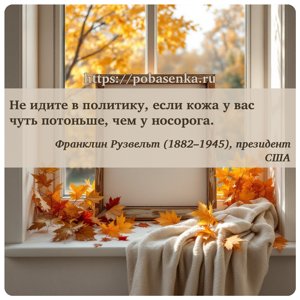 Не идите в политику, если кожа у вас чуть потоньше, чем у носорога.