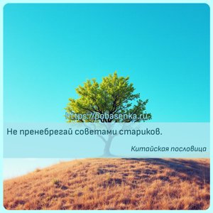 Не пренебрегай советами стариков.