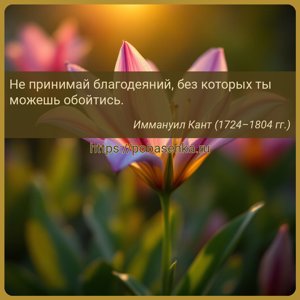 Не принимай благодеяний, без которых ты можешь обойтись.