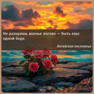 Не разоришь волчье логово быть еще одной беде.