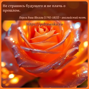 Не страшись будущего и не плачь о прошлом.