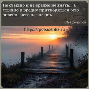 Не стыдно и не вредно не знать а стыдно и вредно притворяться, что знаешь,...