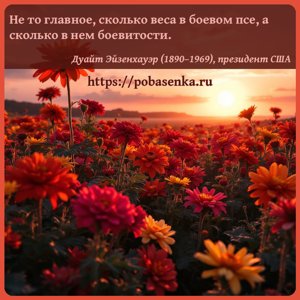 Не то главное, сколько веса в боевом псе, а сколько в нем боевитости.