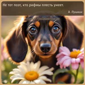 Не тот поэт, кто рифмы плесть умеет.