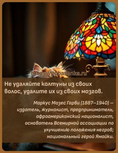 Не удаляйте колтуны из своих волос, удалите их из своих мозгов.