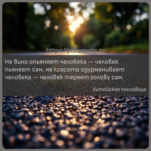 Не вино опьяняет человека человек пьянеет сам, не красота одурманивает...