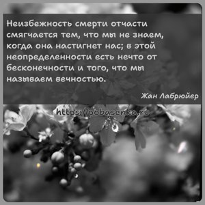 Неизбежность смерти отчасти смягчается тем, что мы не знаем, когда она...