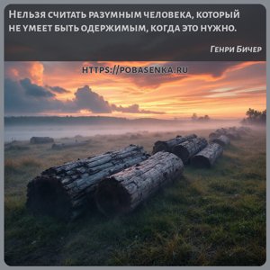 Нельзя считать разумным человека, который не умеет быть одержимым, когда...