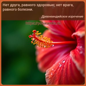 Нет друга, равного здоровью нет врага, равного болезни.