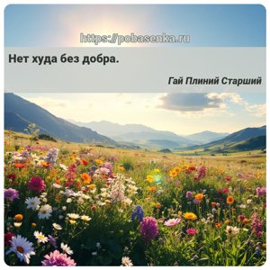 Нет худа без добра.