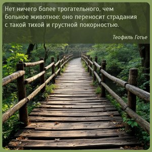 Нет ничего более трогательного, чем больное животное оно переносит...