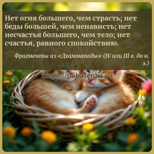 Нет огня большего, чем страсть нет беды большей, чем ненависть нет...