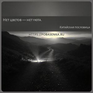 Нет цветов нет уюта.