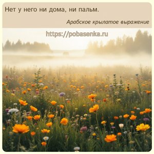 Нет у него ни дома, ни пальм.