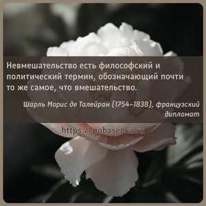 Невмешательство есть философский и политический термин, обозначающий почти...