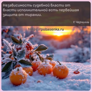 Независимость судебной власти от власти исполнительной есть первейшая...