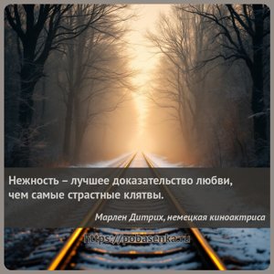 Нежность лучшее доказательство любви, чем самые страстные клятвы.