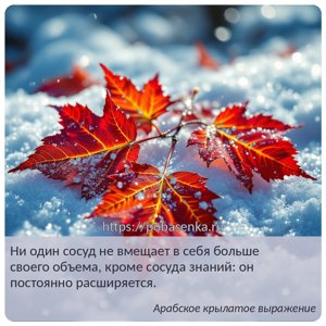 Ни один сосуд не вмещает в себя больше своего объема, кроме сосуда знаний...