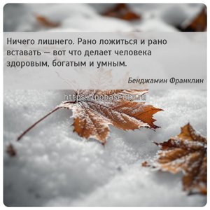 Ничего лишнего. Рано ложиться и рано вставать вот что делает человека...