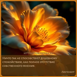 Ничто так не способствует душевному спокойствию, как полное отсутствие...