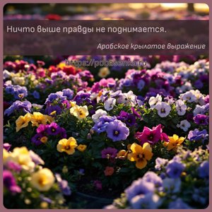 Ничто выше правды не поднимается.
