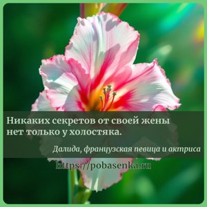 Никаких секретов от своей жены нет только у холостяка.