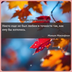 Никто еще не был любим в точности так, как ему бы хотелось.