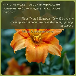 Никто не может говорить хорошо, не понимая глубоко предмет, о котором...
