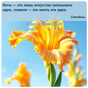 Ноты это лишь искусство записывать идеи, главное это иметь эти идеи.