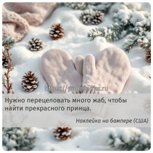 Нужно перецеловать много жаб, чтобы найти прекрасного принца.