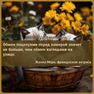 Обмен поцелуями перед камерой значит не больше, чем обмен взглядами на...