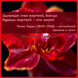 Однажды став жертвой, всегда будешь жертвой это закон