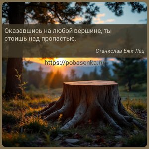 Оказавшись на любой вершине, ты стоишь над пропастью.
