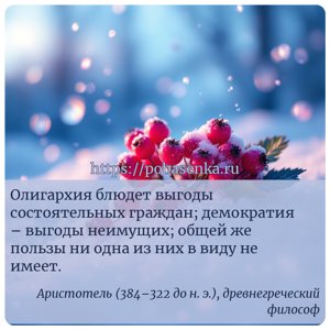Олигархия блюдет выгоды состоятельных граждан демократия выгоды неимущих...