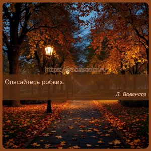 Опасайтесь робких.