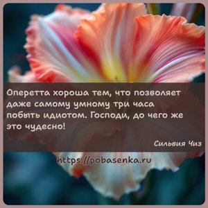 Оперетта хороша тем, что позволяет даже самому умному три часа побыть...