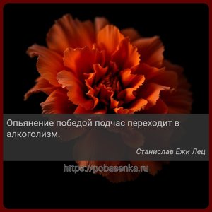 Опьянение победой подчас переходит в алкоголизм.