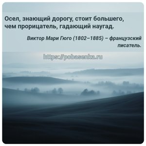 Осел, знающий дорогу, стоит большего, чем прорицатель, гадающий наугад.